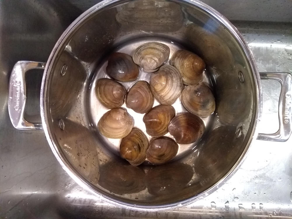 Cherrystone Clams In A Pot